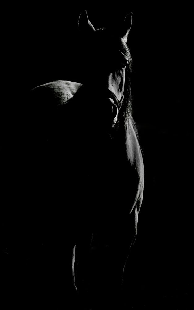 Photograph by Ali Kamil Seren