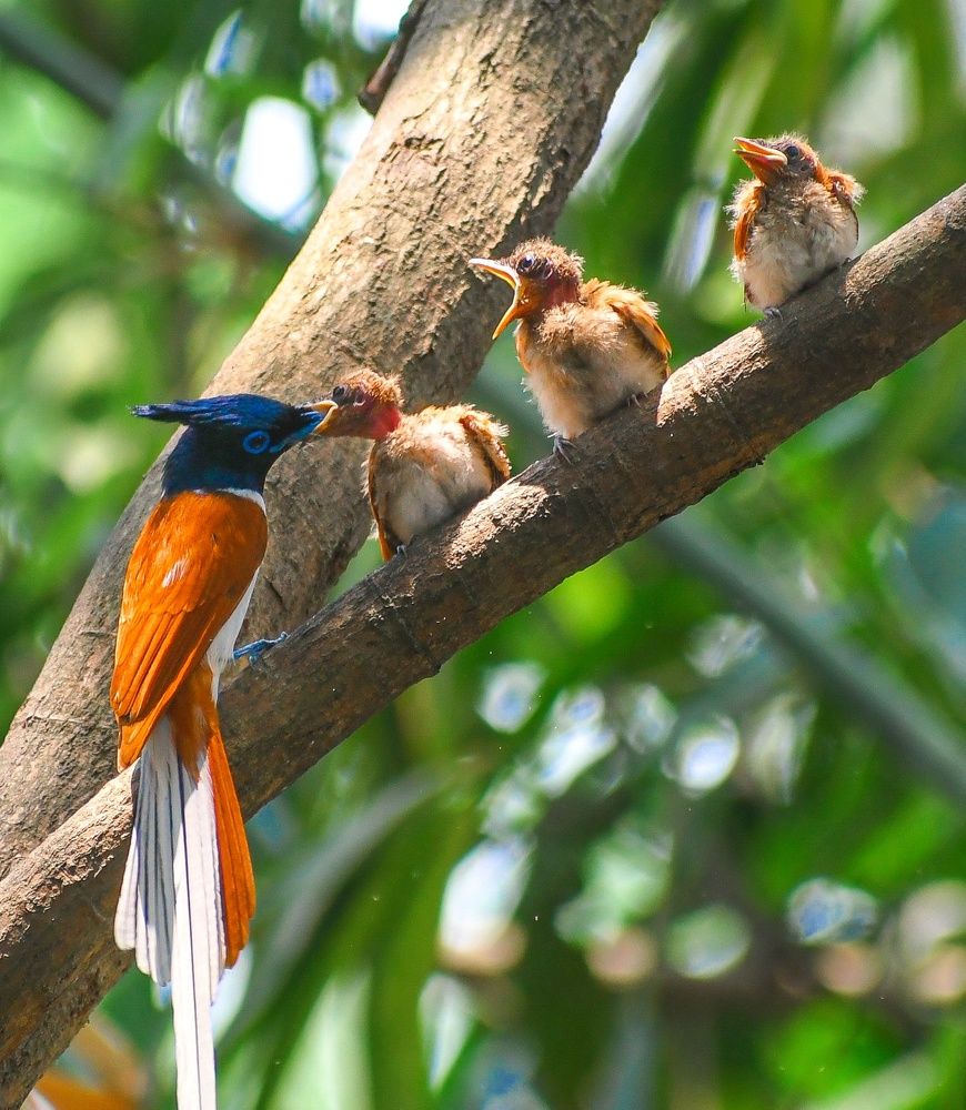 Photograph by Masum Mr