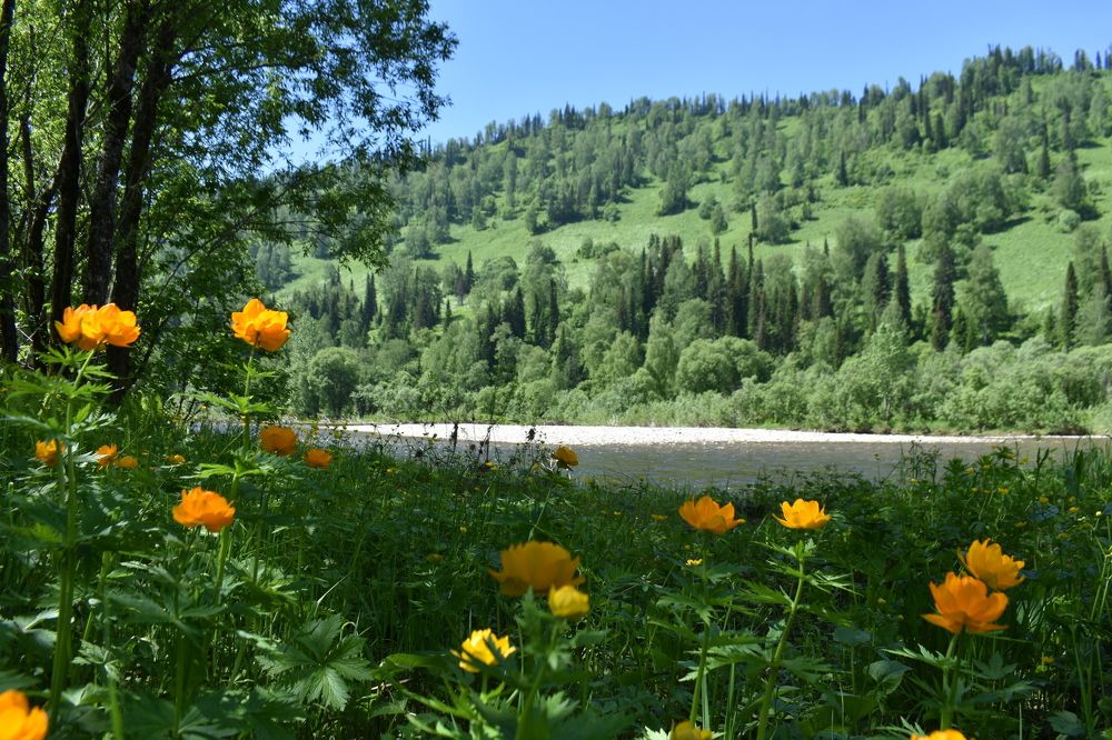 Запоздавшая весна.