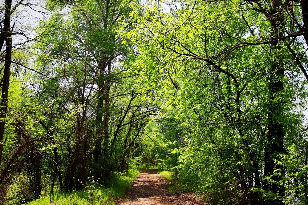 Photograph by Александра