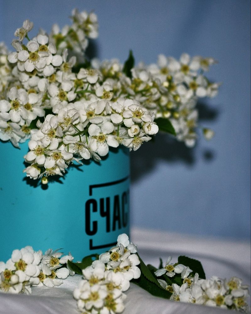 Photograph by Надежда Сабаева