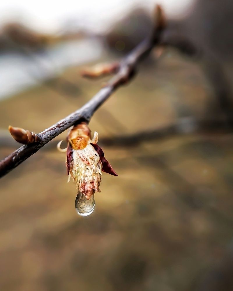 Photograph by Елена Савина