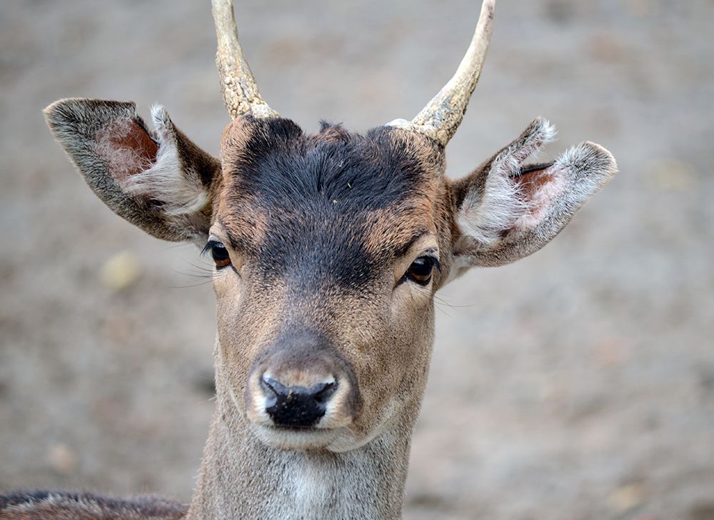 Photograph by Liliana Grup