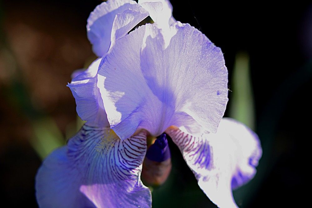 Photograph by Алексей Епишин