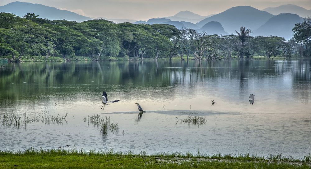 Photograph by SWEE MING YOUNG