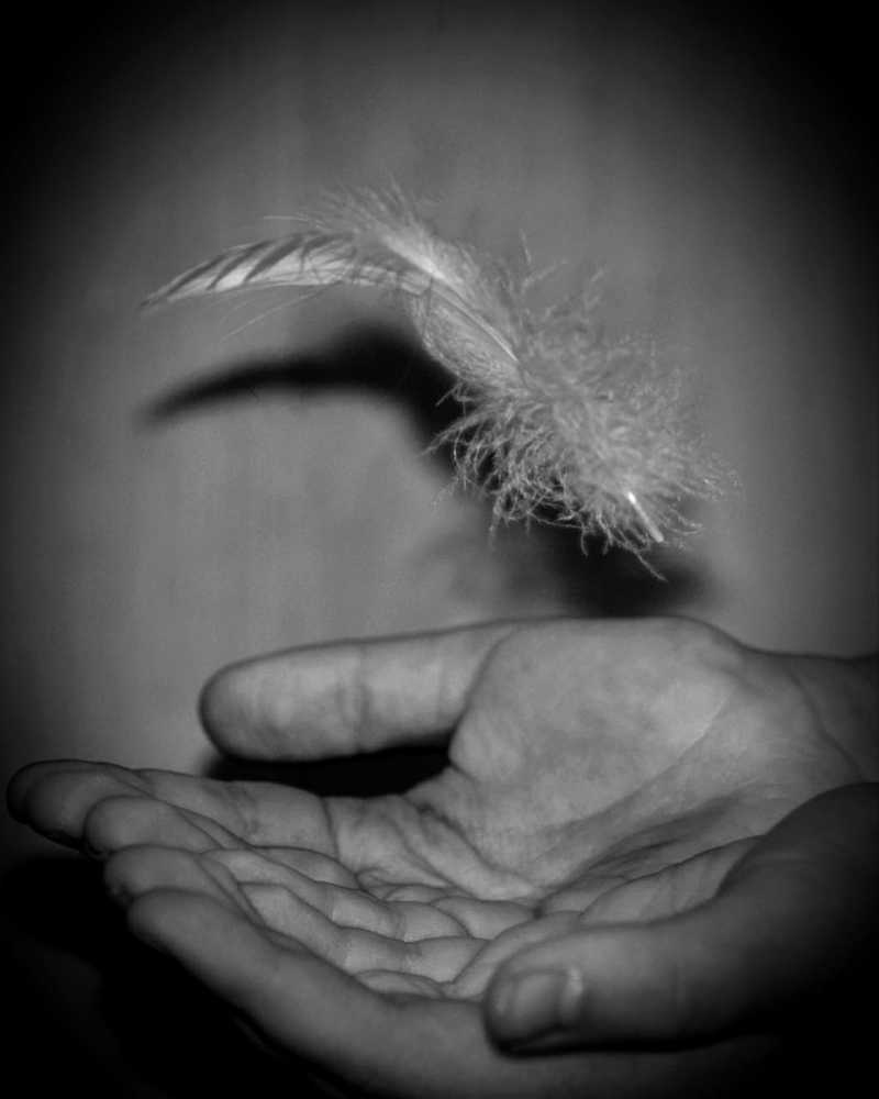 Photograph by Надежда Сабаева