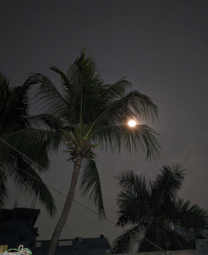 Photograph by Nurul Anwar Khan