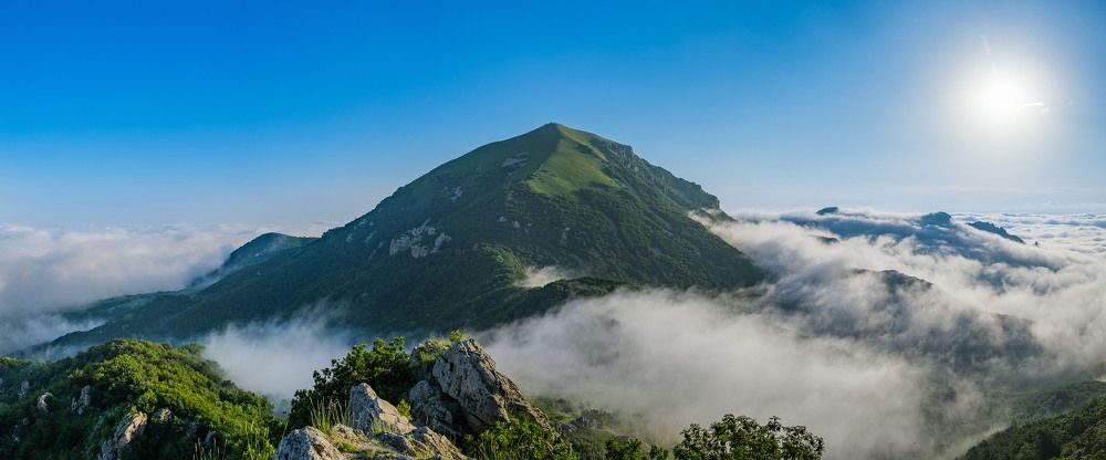 Photograph by Владимир Ганзиков