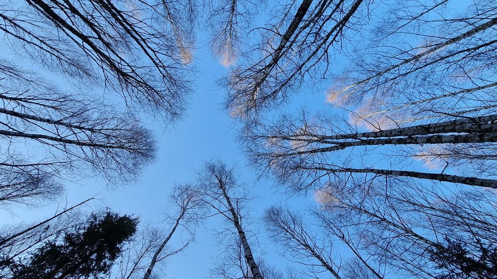 Photograph by Elena Smirnova