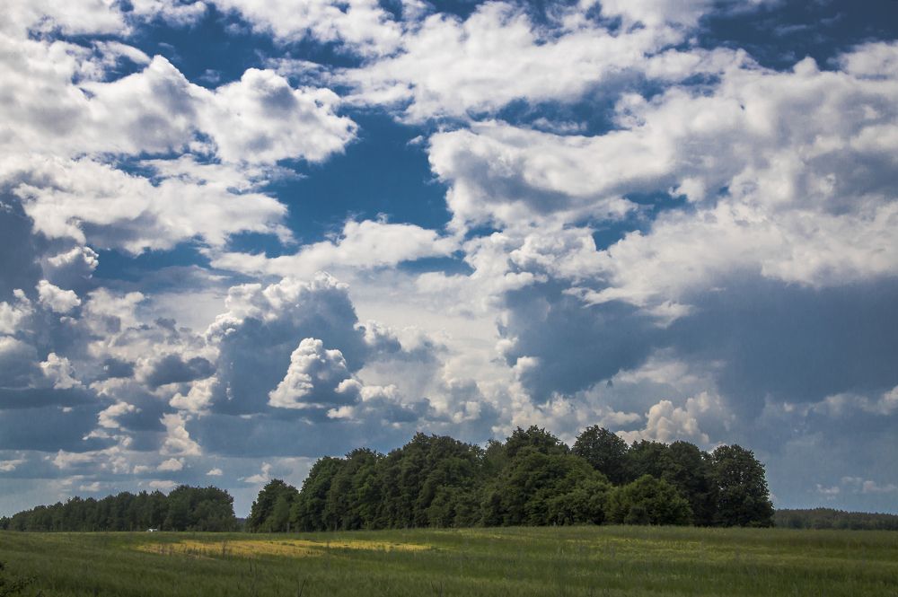 Поле в облаках 1