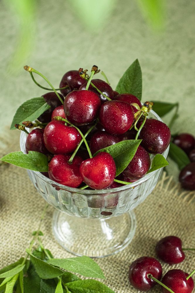 Photograph by Евгения Боровицкая