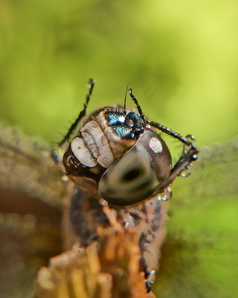 Photograph by Anagha Peethambaran