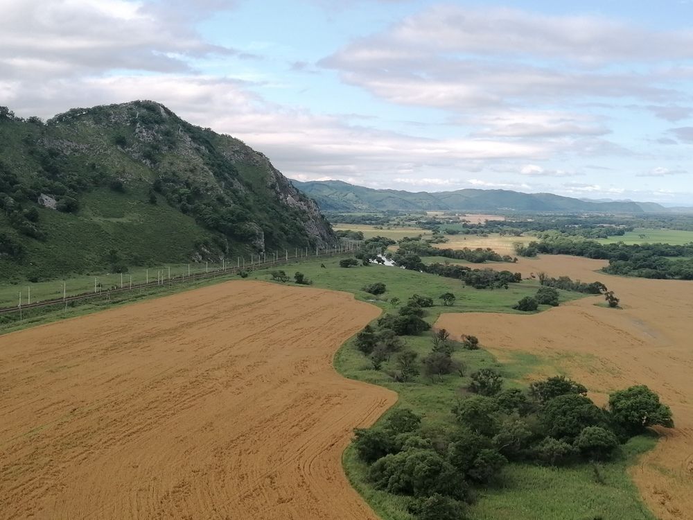 Поля Приморья