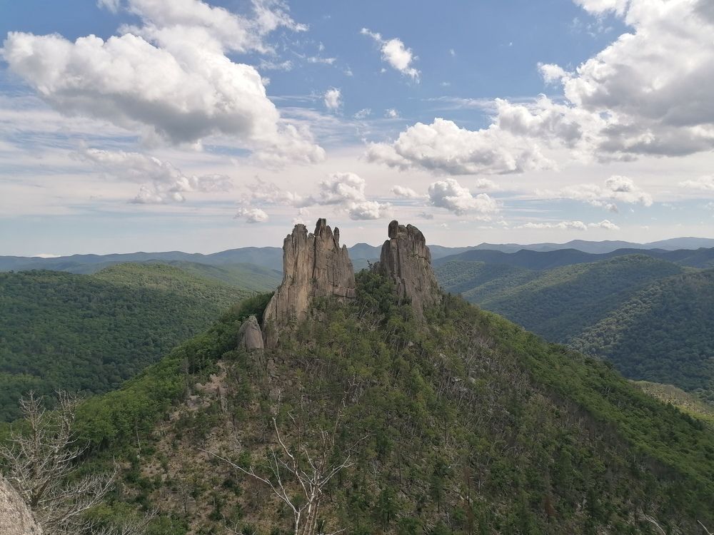 Крылья дракона