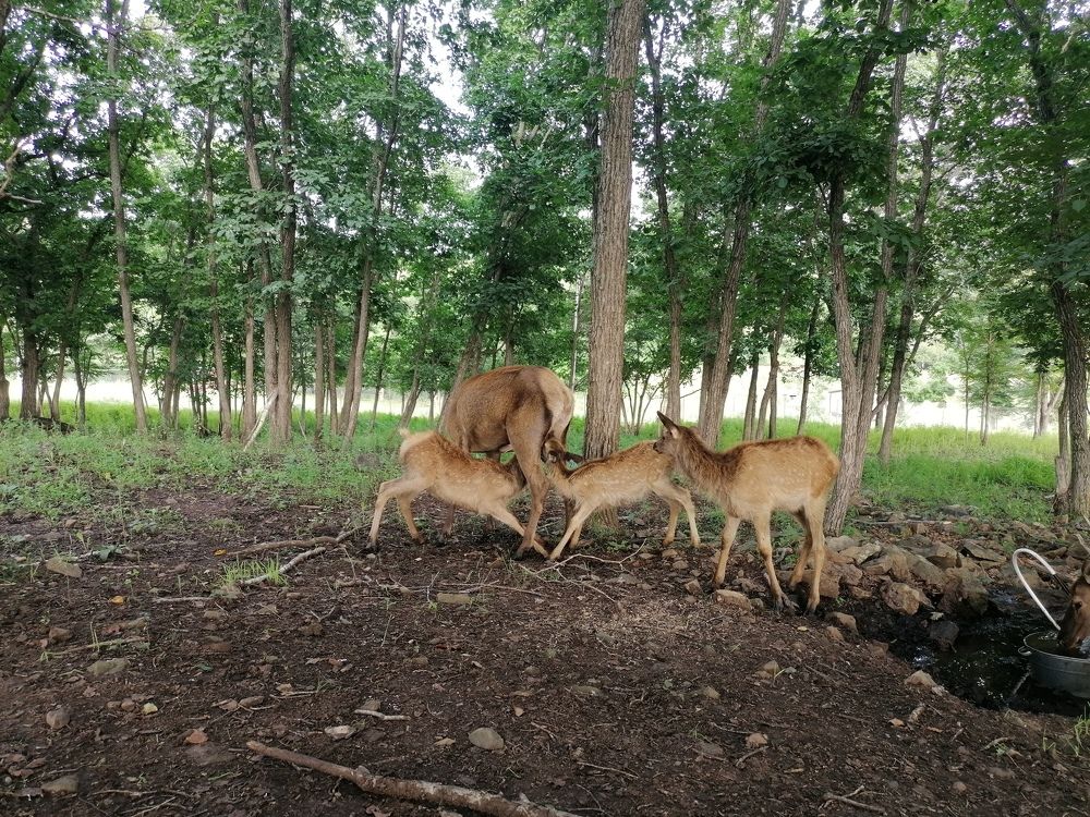 Photograph by Николай Шепелев