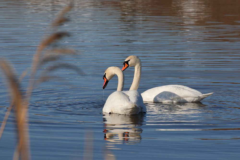 Фотография автора Юрий Фефилов