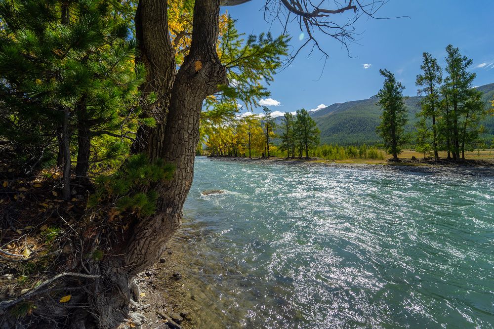 Photograph by Константин Щербаков