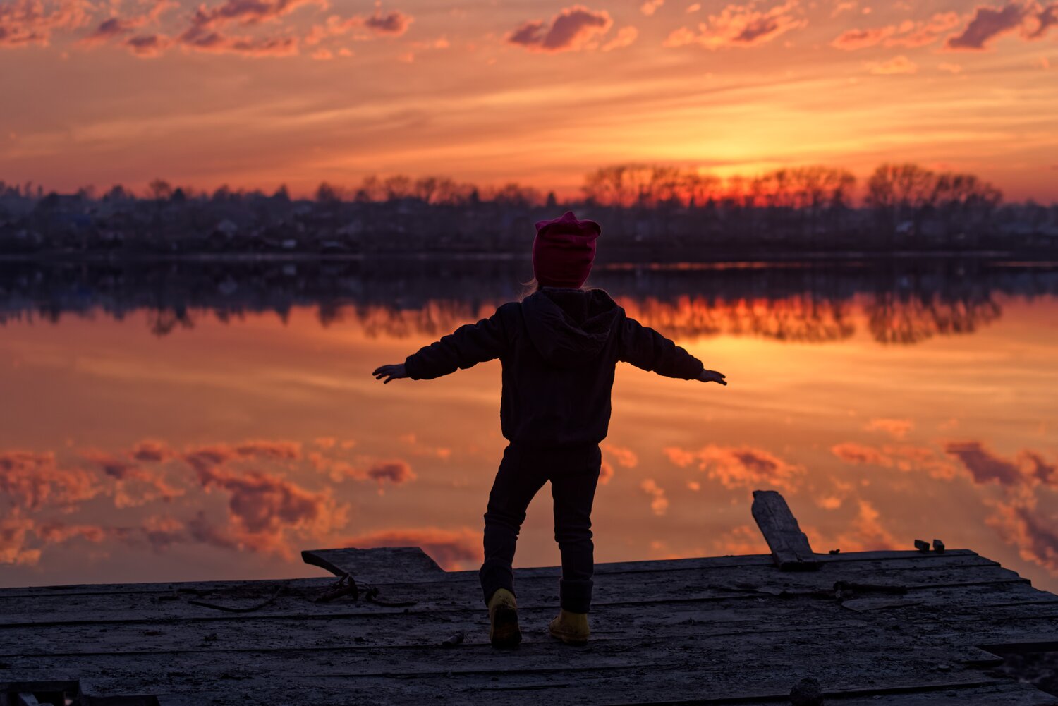 Photo #6212534