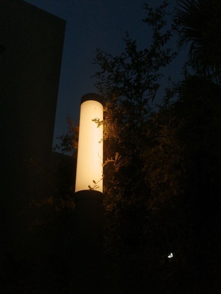 Photograph by falah Ramadan