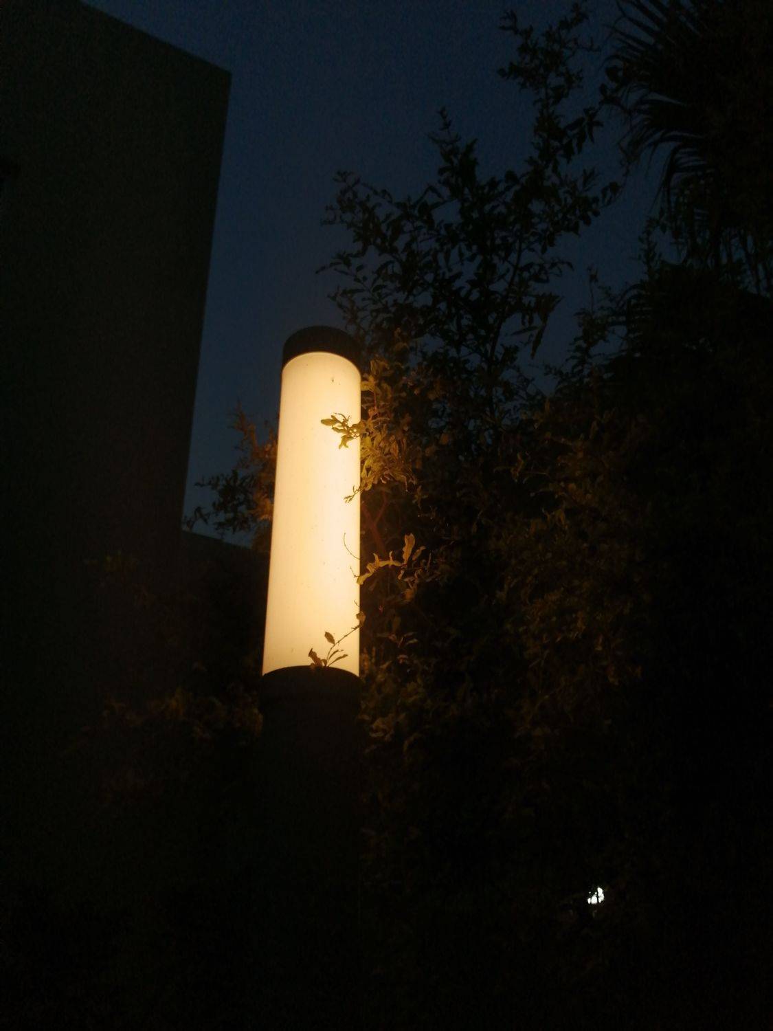 Photo #6212557