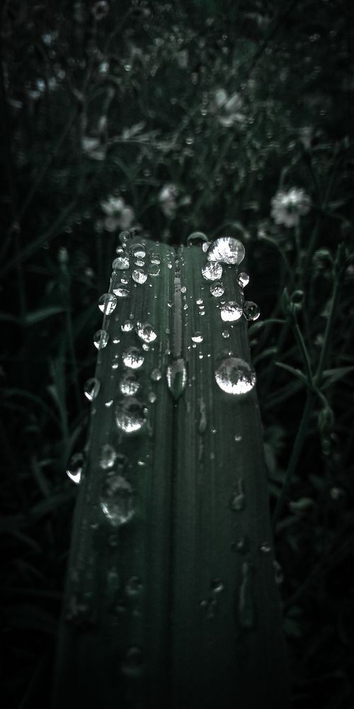 Photo #6212559