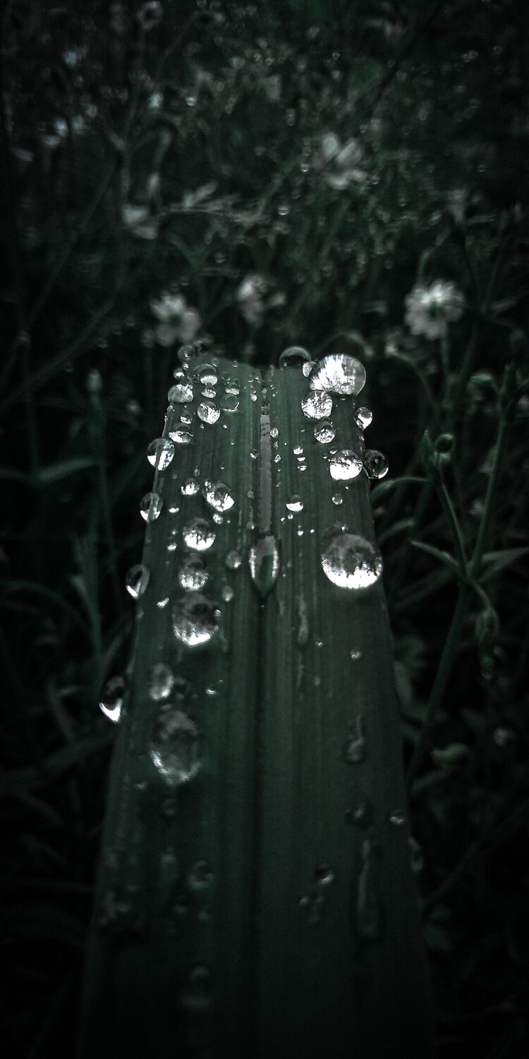 Photo #6212559