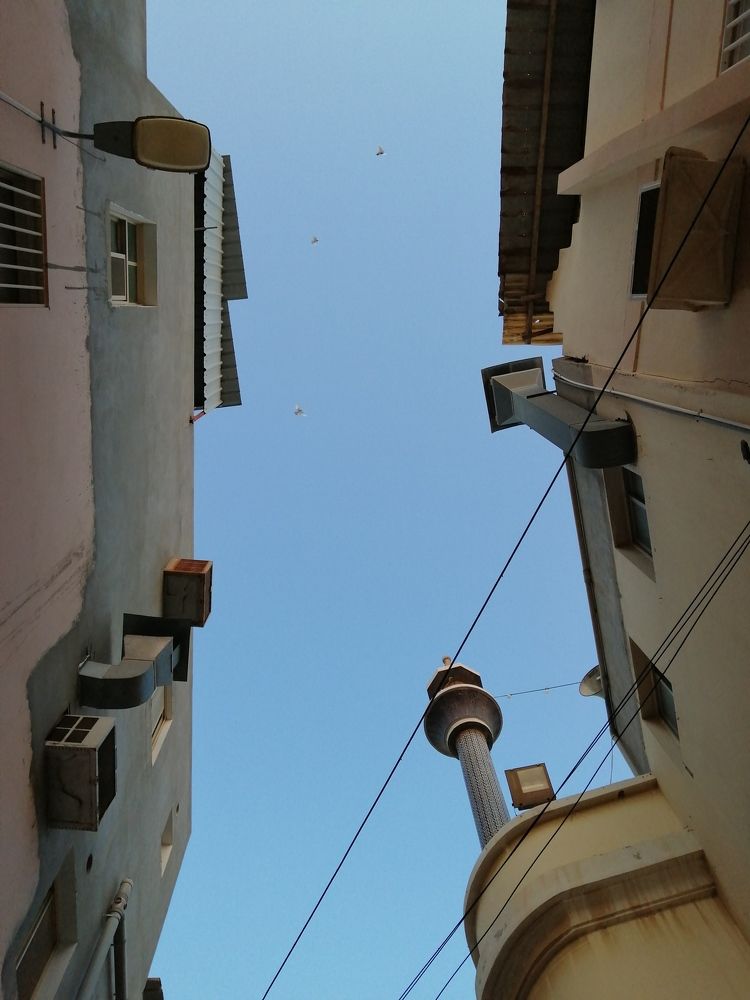 Photo #6212560