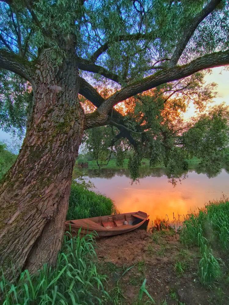 Photograph by Мария Воронцова