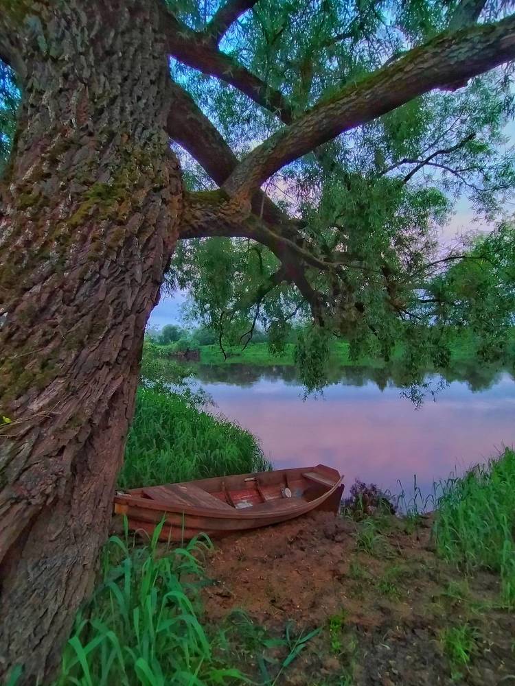 Photograph by Мария Воронцова