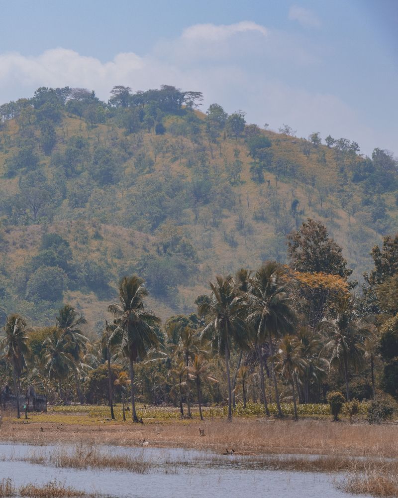 Photograph by Thilina Jayathilaka