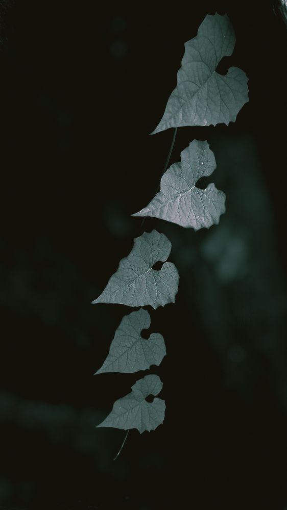 Photograph by Shruti Singh