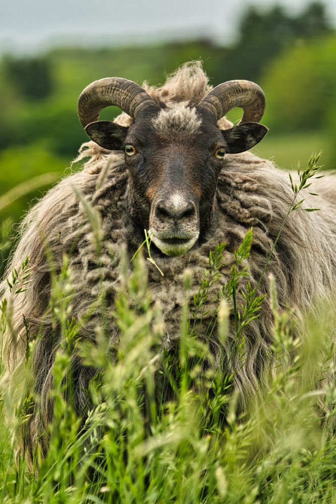 Фотография автора Werner Enns