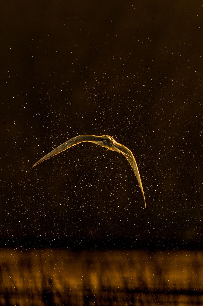 Photograph by Jai Tripathi