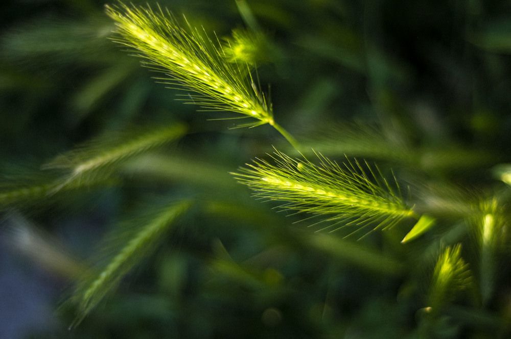 Photograph by Dumitru Bors