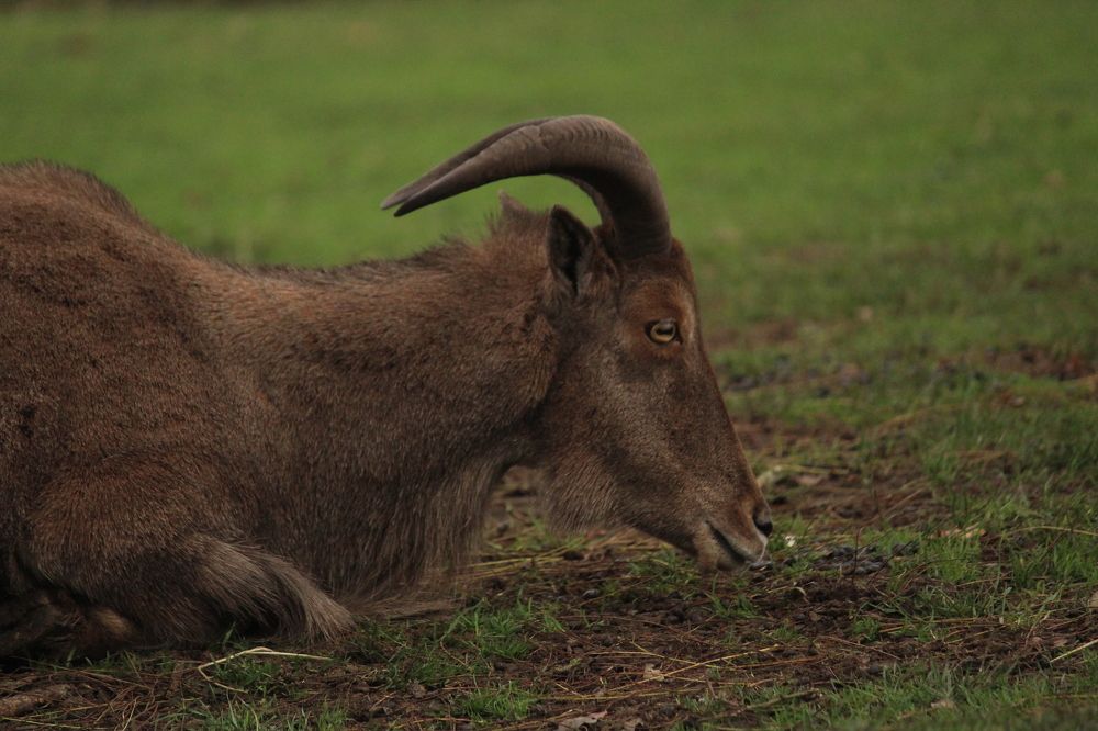 Photograph by Sharad vadoliya