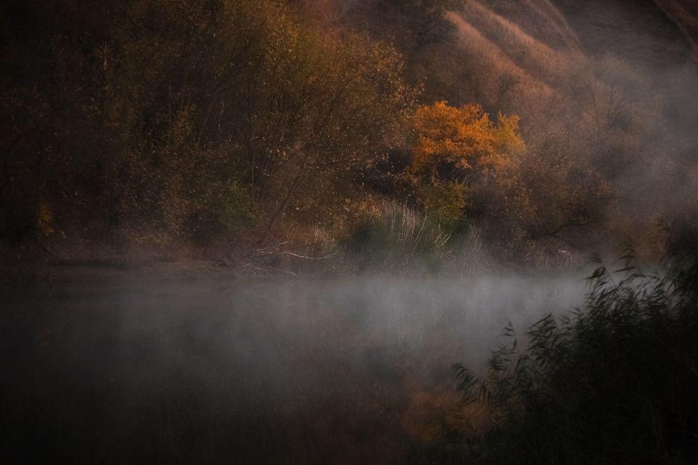 Photograph by Наталья Николаева