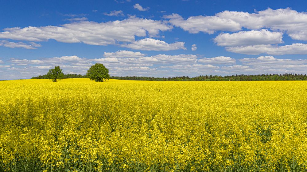 Photograph by Valdis Serzhans