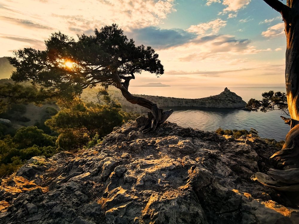 Рай в Новом Свете