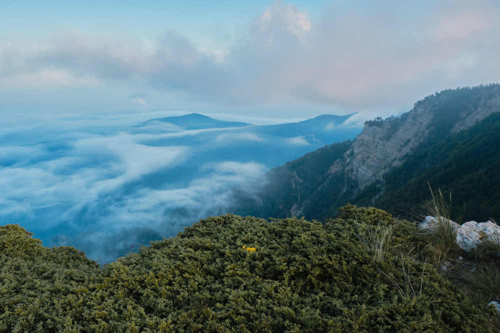 Photograph by Vitaliy