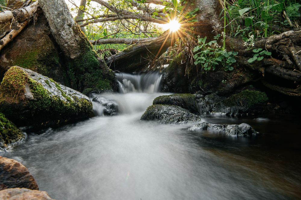 Photograph by Людмила Москвичёва