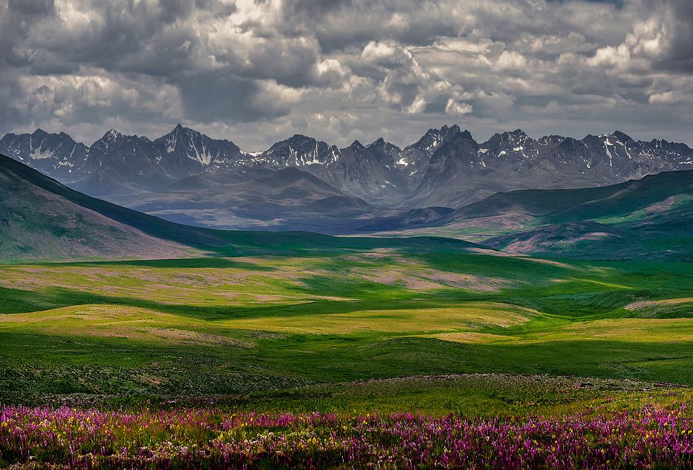 Poetry of the Earth !