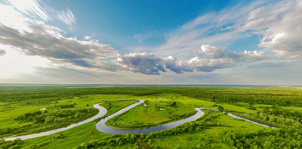 Photograph by Алла Толстая