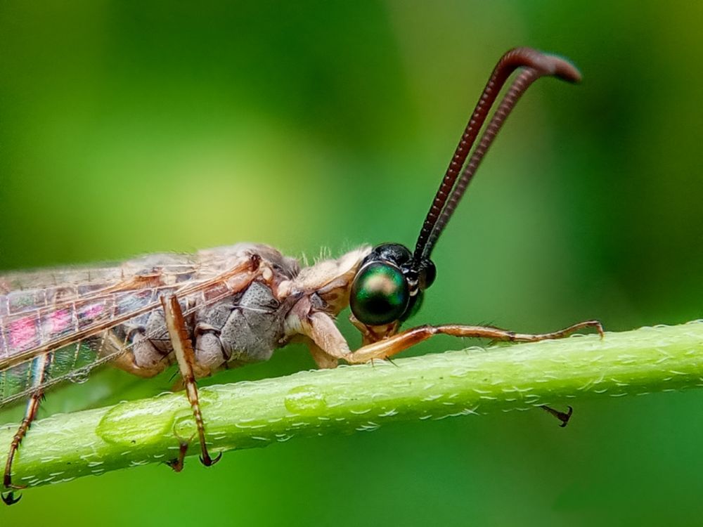 Photograph by Damitha