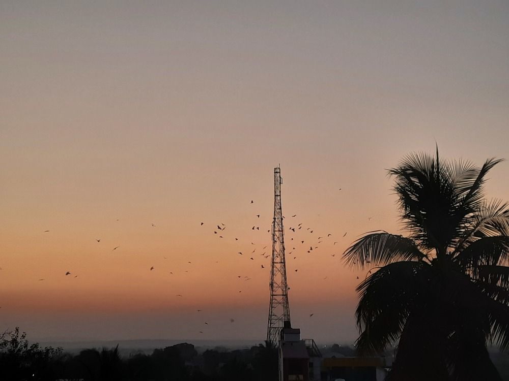 Photograph by Asmita Bhinge