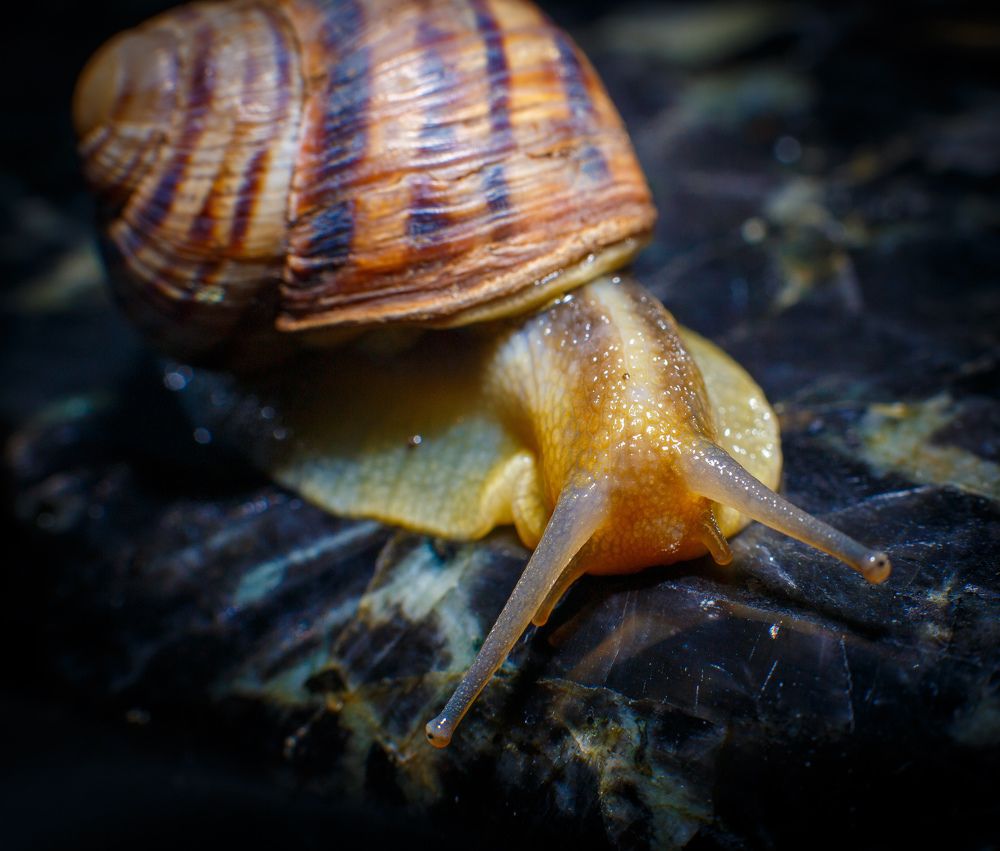 Фотография автора Виталий Зейфер