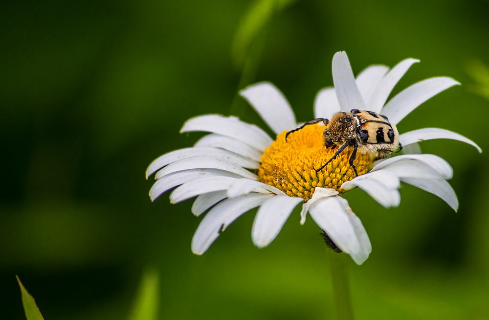Photograph by Виталий Слёзка