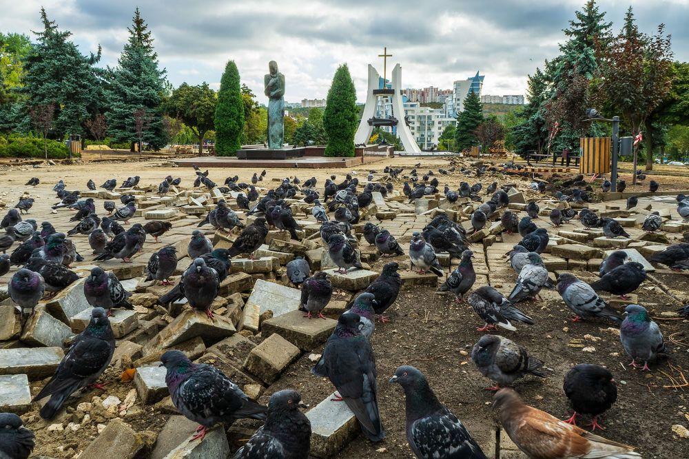 Photograph by Олег Ершов