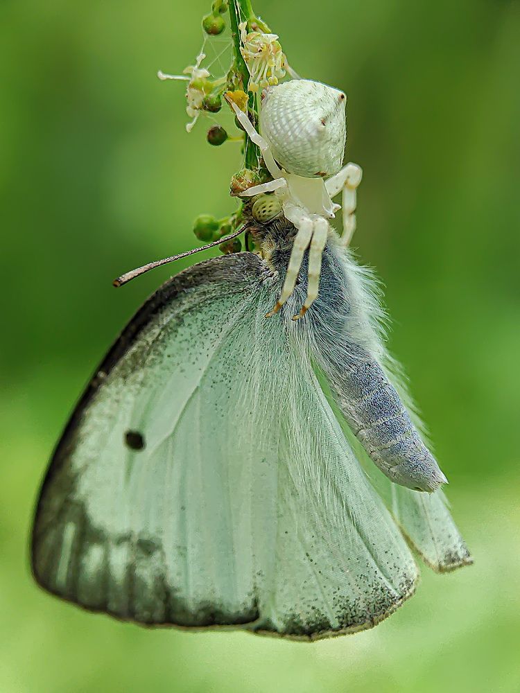 Фотография автора ISLAM SK RIYAJUL