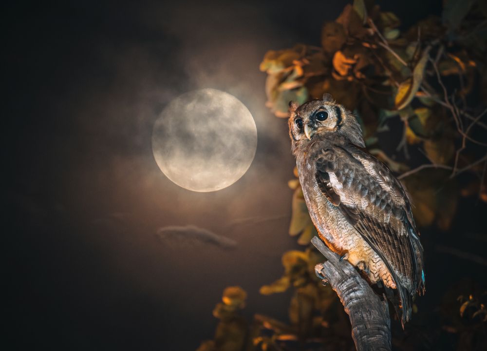 Photograph by Kirkamon Cabello