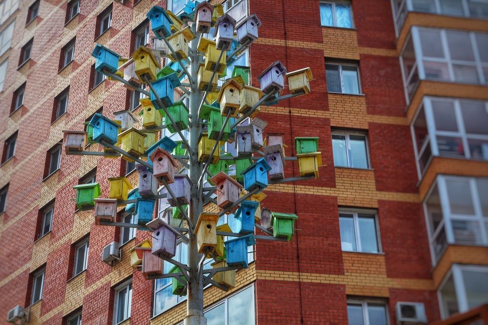 Фотография автора Евгения Снигирева